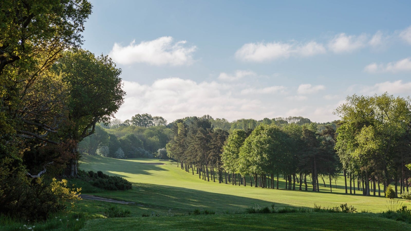 Norfolk County Golf Union – Powered by Golf Genius & Design by nooQ Golf